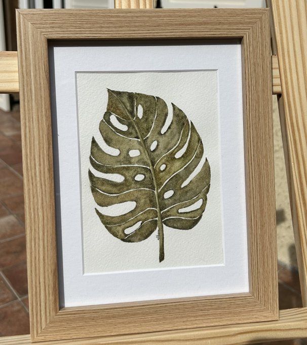 Feuille de monstera deliciosa
