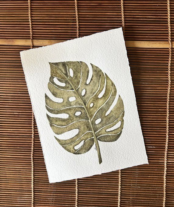 Feuille de monstera deliciosa