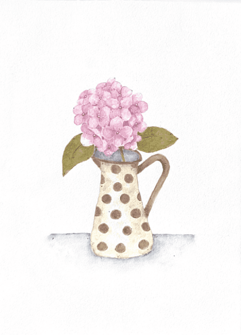 Hortensia dans un pichet à pois